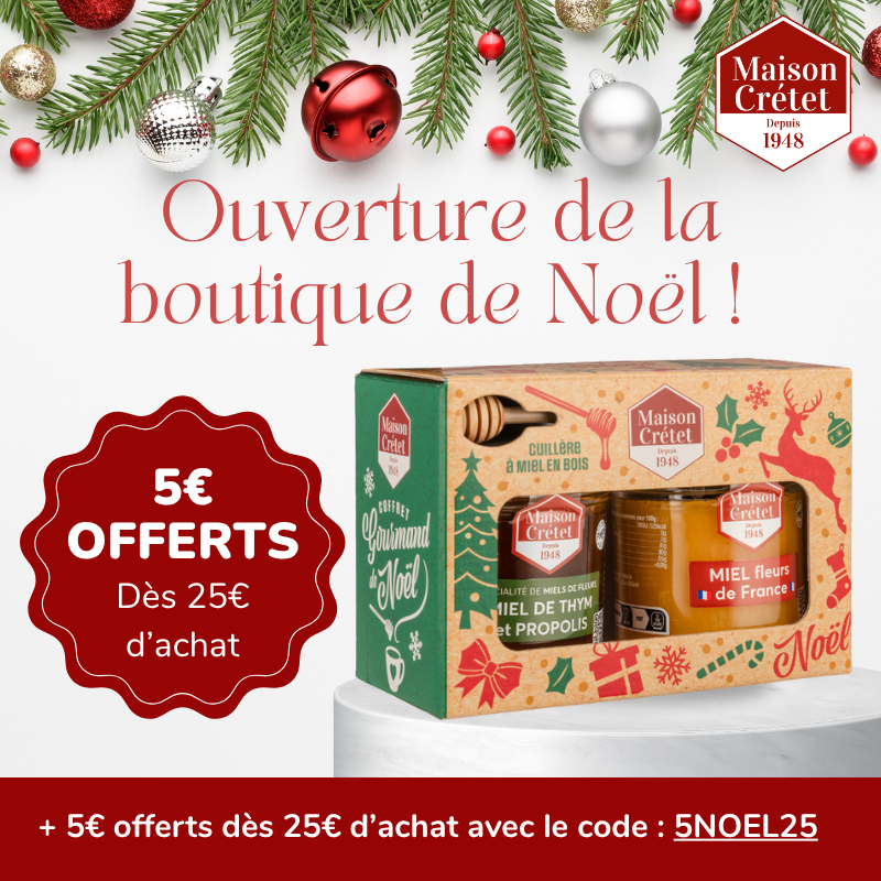 -20% sur la boutique de Noël * + 5€ offerts dès 25€ d'achat avec le code 5NOEL25